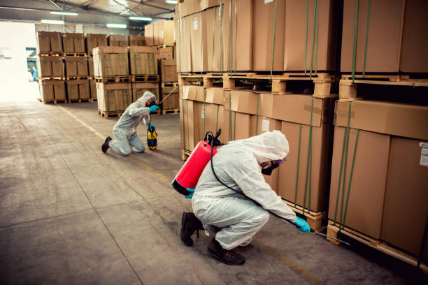 Best Flea Control Services  in Midlothian, IL