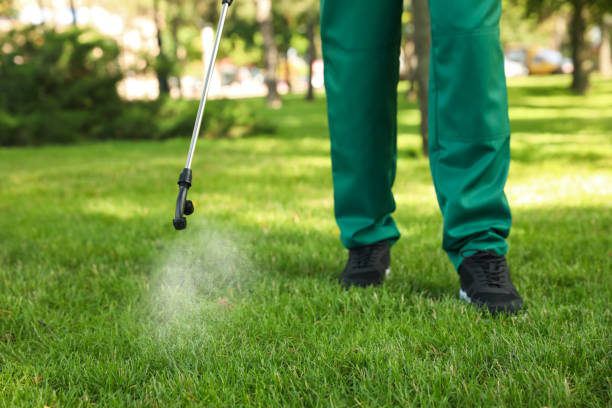 Best Bed Bug Extermination  in Midlothian, IL