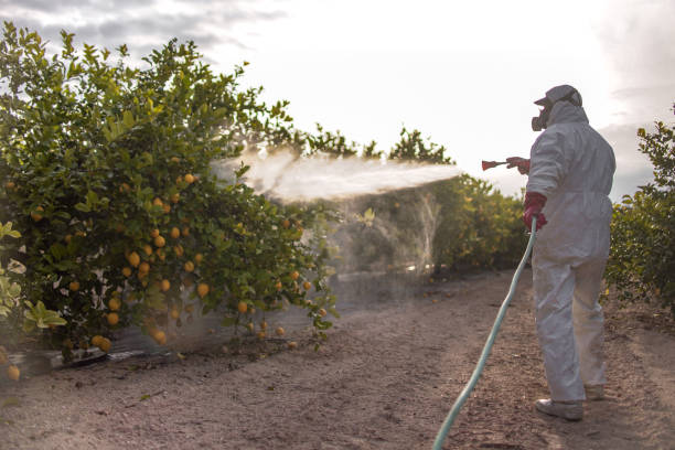 Best Pest Control Near Me in Midlothian, IL