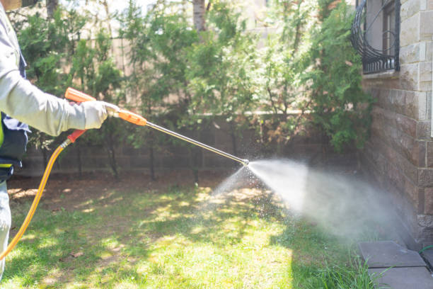 Best Termite Control Services  in Midlothian, IL