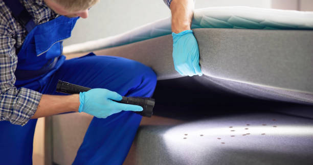 Best Termite Control Services  in Midlothian, IL