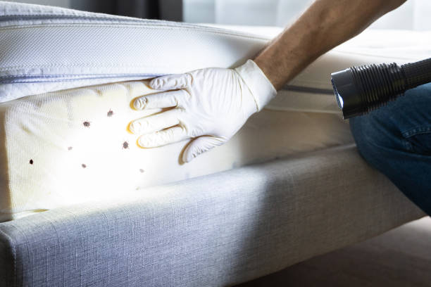 Best Pest Control Near Me  in Midlothian, IL