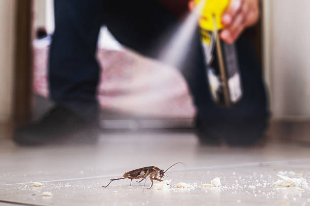 Trusted Midlothian, IL Pest Control Experts