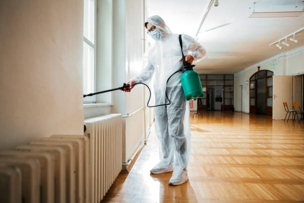 Best Rat Extermination Near Me  in Midlothian, IL