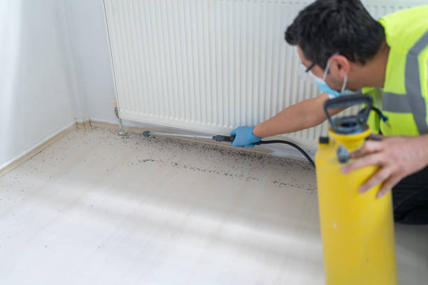 Best Exterminator Services  in Midlothian, IL